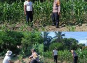 Melalui Bhabinkamtibmas Polsek Dumai Barat Dukung Program Ketahanan Pangan Nasional