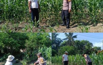 Melalui Bhabinkamtibmas Polsek Dumai Barat Dukung Program Ketahanan Pangan Nasional