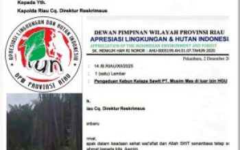 Dugaan Perusakan Lingkungan Hidup oleh PT. Musim Mas di Pelalawan