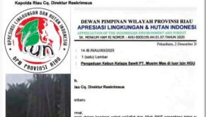 Dugaan Perusakan Lingkungan Hidup oleh PT. Musim Mas di Pelalawan