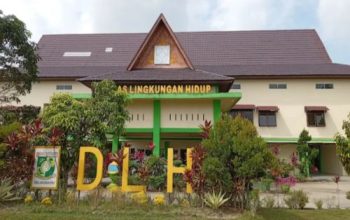 Desakan Elemen Masyarakat dan DPRD Direspons, DLH Ambil Sampel Air Dugaan Pencemaran Sungai Koto Kampar Hulu