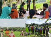 Rutinitas BPP Sekolah Lapangan Padi di Kelurahan Kampung Baru