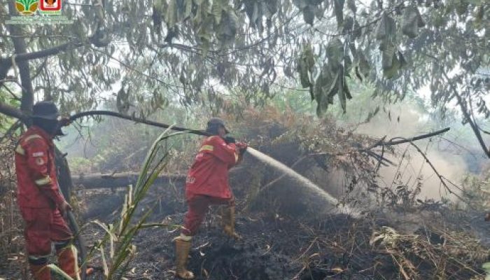 Jalur Kanal Terputus, Tim Manggala Agni Jalan Kaki 2 Km Padamkan Karhutla Pelalawan