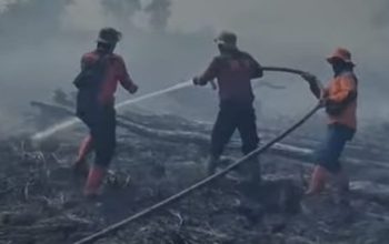 Di Sejumlah Titik Api Berhasil Dijinakkan Satgas Karhutla Riau