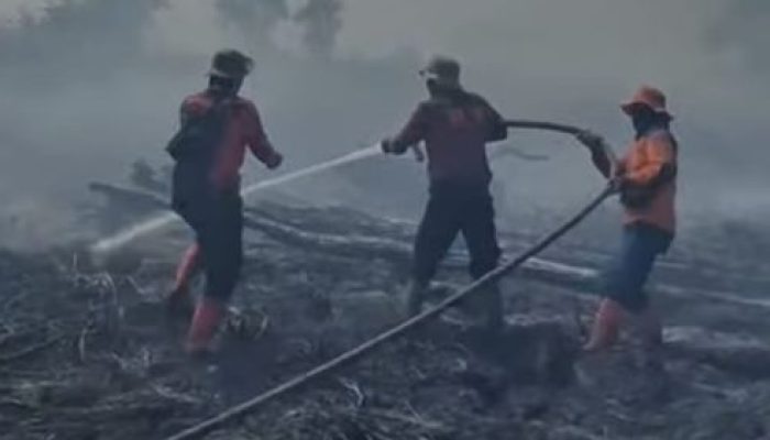 Di Sejumlah Titik Api Berhasil Dijinakkan Satgas Karhutla Riau