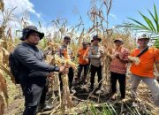 Polsek Sungai Sembilan Mendukung Program Nasional Ketahanan Pangan Kuartal II Tahun 2026, Panen Jagung Pipil