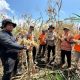 Polsek Sungai Sembilan Mendukung Program Nasional Ketahanan Pangan Kuartal II Tahun 2026, Panen Jagung Pipil