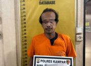 Diduga Lakukan Pencurian di Kantor Balai Penyuluhan, Tak Butuh Waktu Lama Tim Resmob Polres Kampar Berhasil Menangkap Pelaku