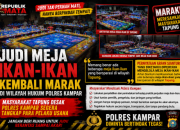 Judi Meja Ikan-Ikan Kembali Marak di Tapung, Pengelola Akui Ada Sejumlah Meja Beroperasi