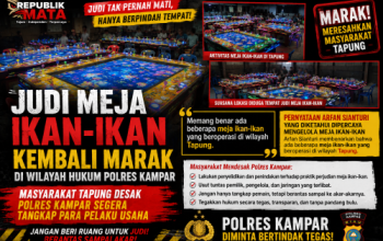 Judi Meja Ikan-Ikan Kembali Marak di Tapung, Pengelola Akui Ada Sejumlah Meja Beroperasi