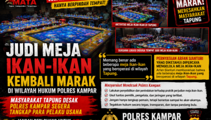 Judi Meja Ikan-Ikan Kembali Marak di Tapung, Pengelola Akui Ada Sejumlah Meja Beroperasi
