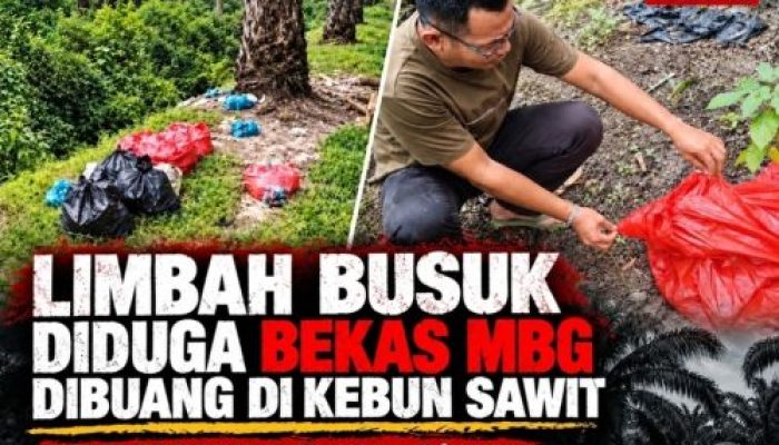 Limbah Busuk Diduga Bekas MBG Dibuang di Kebun Sawit, Mitra SPPG Kota Bangun Disorot