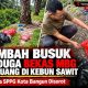 Limbah Busuk Diduga Bekas MBG Dibuang di Kebun Sawit, Mitra SPPG Kota Bangun Disorot
